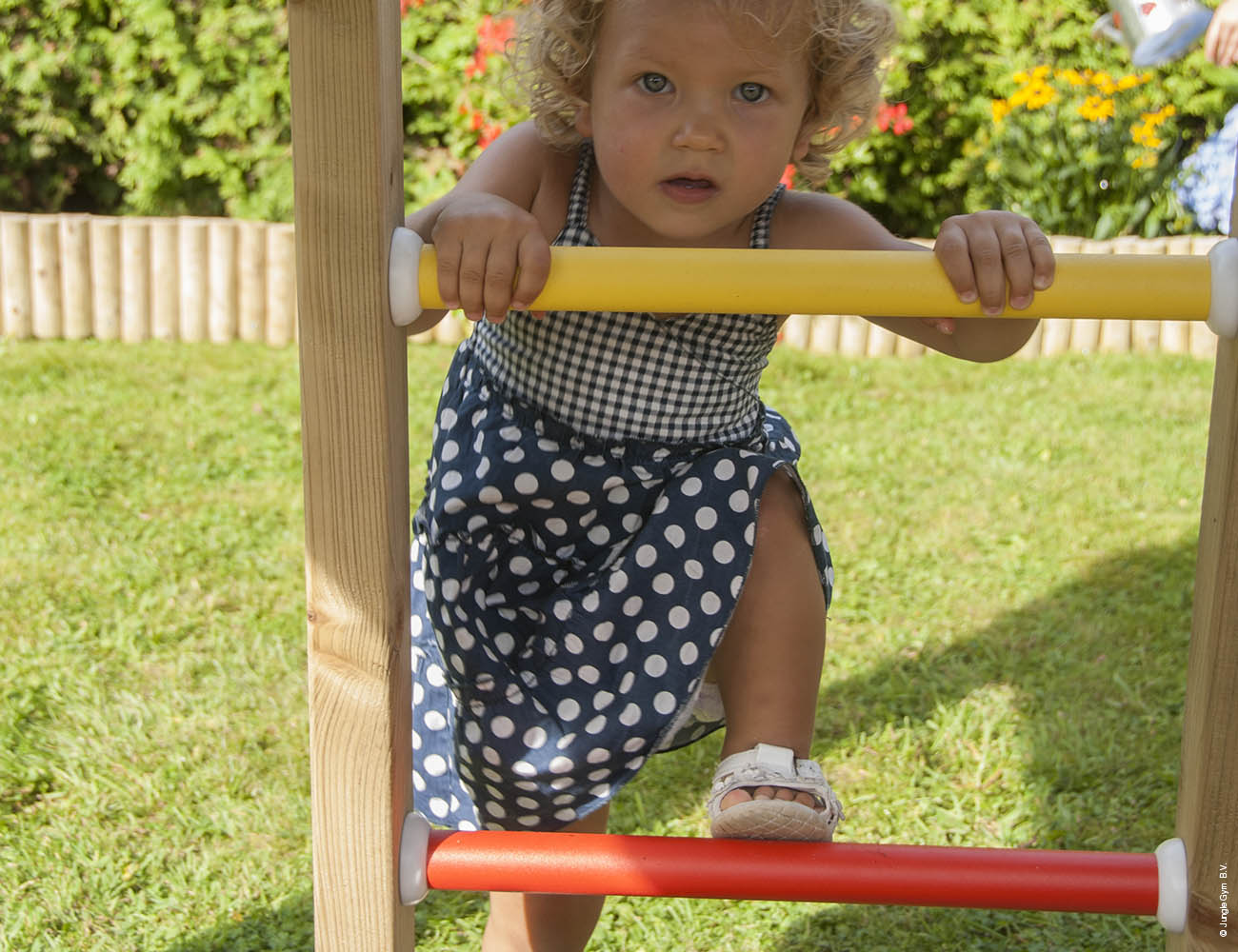 jungle-gym-jungle-voyager-struttura-in-legno-con-altalena-e-rete-da-arrampicata image 2